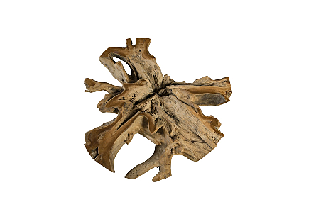 Teak Root Coffee Table Round