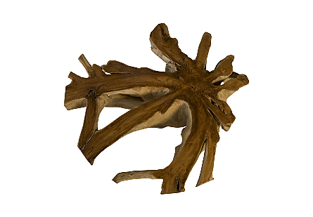 Teak Root Coffee Table Round 