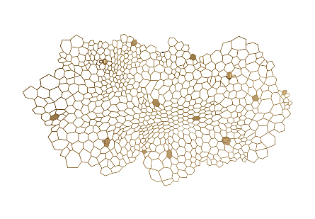 Honeycomb Wall Art LG